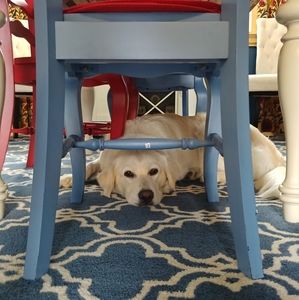 Meet your Posher, Leslie